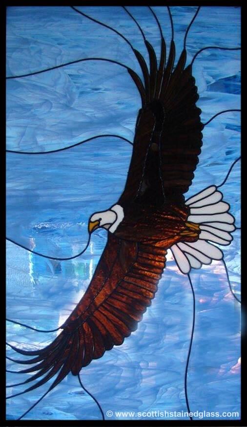 animal bald eagle stained glass austin